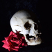 Opium Tattoo Gallery - Skulls and Roses Reference Photos USB por Filip Pasieka