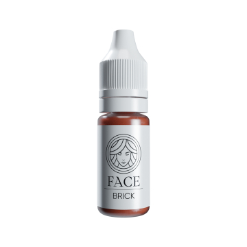 FACE Pigments - Corretor de linha básica para sobrancelhas - Brick