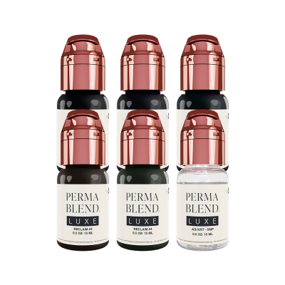Tinta Para Perma Blend Luxe - Stevey G. Reclaim Set - 6x 15 ml
